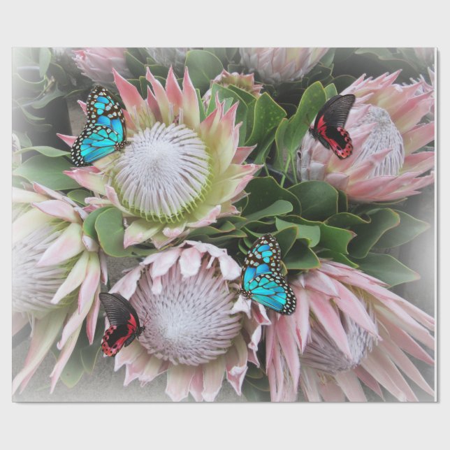 Papel De Regalo La Protea del Rey (Superficie plana)