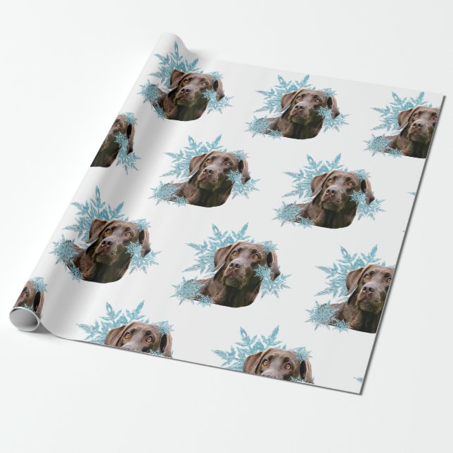 Papel De Regalo Labrador de chocolate en los copos de nieve (Desenrollado)