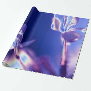 Papel de regalo lavanda y azul brillante