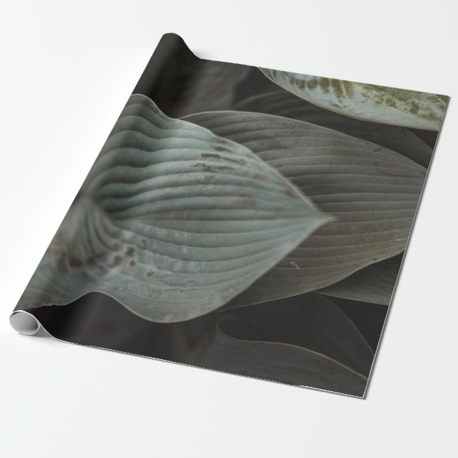 Papel De Regalo Leaf grande (Desenrollado)