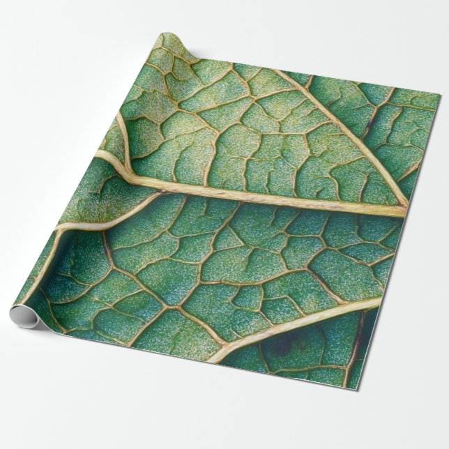 Papel De Regalo Leaf verde (Desenrollado)