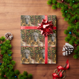 Papel De Regalo Lebrel Irlandés de Navidad Enredado en Luces