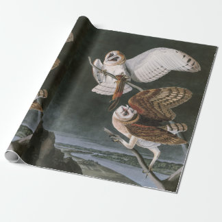 Papel De Regalo Lechuzas comunes, los pájaros de América John