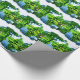 Papel De Regalo Lejos de la ciudad