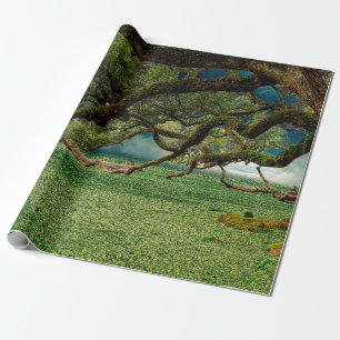 Papel De Regalo Leña de árbol frondoso de bosque natural