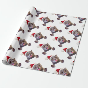 Papel De Regalo Lengua de Navidades de gato