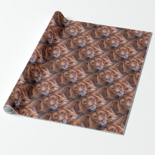 Papel De Regalo León africano