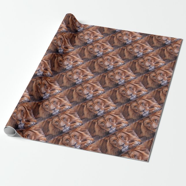 Papel De Regalo León africano (Desenrollado)