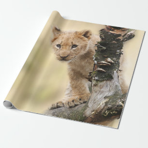 Papel De Regalo León Cub lindo en un árbol