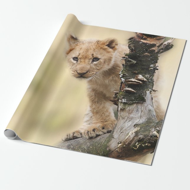 Papel De Regalo León Cub lindo en un árbol (Desenrollado)