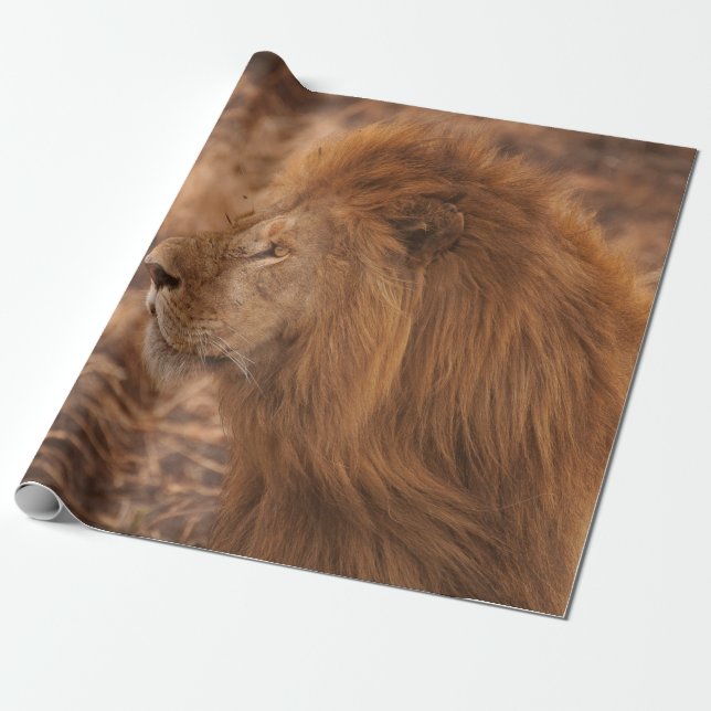 PAPEL DE REGALO LEÓN DE LARGO MANDO (Desenrollado)