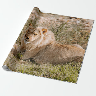 PAPEL DE REGALO LEÓN EN LA GRASA