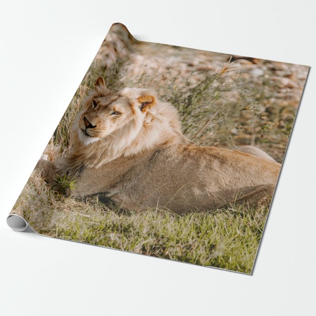 PAPEL DE REGALO LEÓN EN LA GRASA (Desenrollado)
