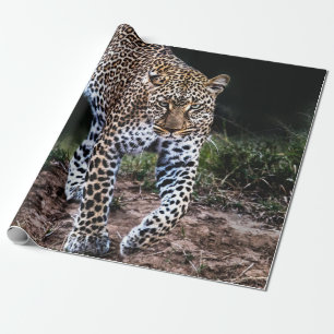 PAPEL DE REGALO LEOPARD CAMINANDO EN SALVAJE