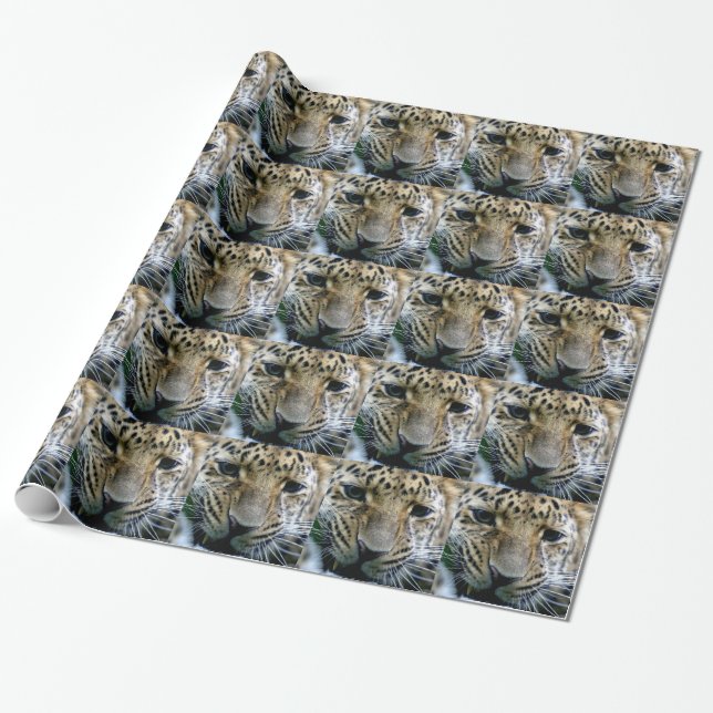 Papel De Regalo Leopardo de Amur (Desenrollado)