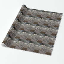 Leopardo de las nieves