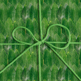 Papel De Regalo Leyes realistas textura de foto divertida verde br