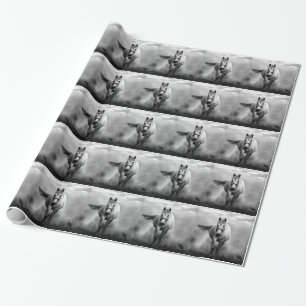 Papel De Regalo Libertad de caballo blanco y negro
