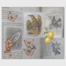 Papel De Regalo Libros antiguos, aves y mariposas