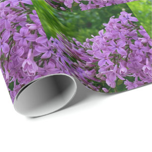 Papel De Regalo Lilas púrpura románticas elegantes foto floral púr