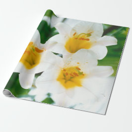 Papel De Regalo Lilis blancas - Lilium candidum de flores de lirio