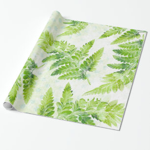 Papel De Regalo Lindo patrón de acuarela botánica Green Fern