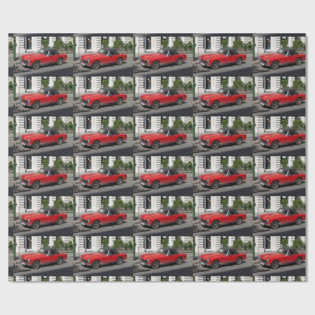 Papel De Regalo Little Red MG (Superficie plana)