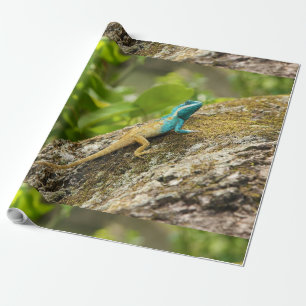 Papel De Regalo Lizard Calotes Mystaceus