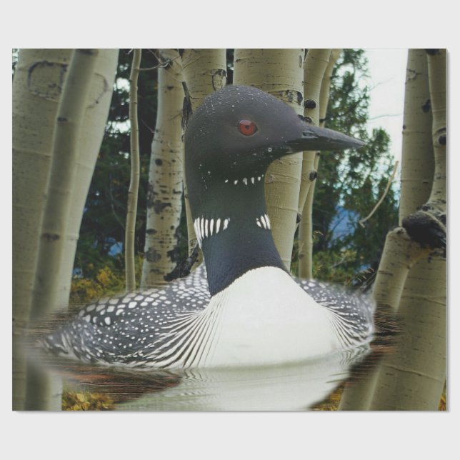 Papel De Regalo Loon Wilderness (Superficie plana)
