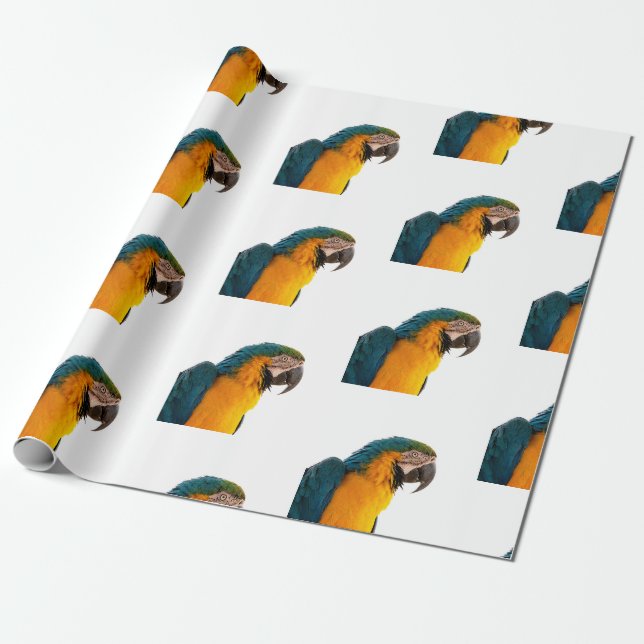 Papel De Regalo Loro (Desenrollado)