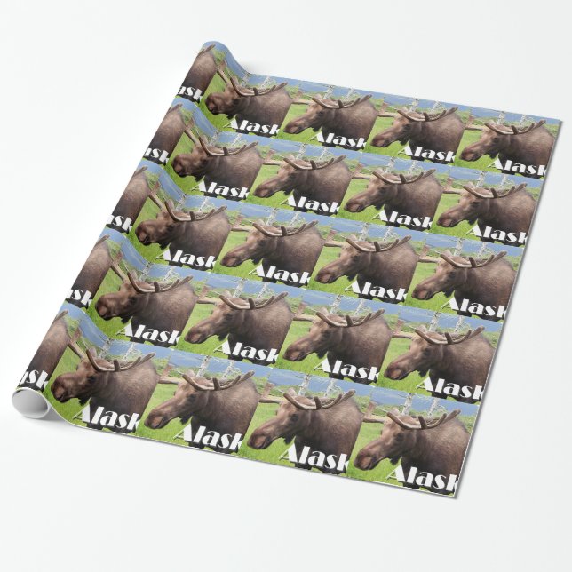 Papel De Regalo Los alces acercan a Anchorage, Alaska, los (Desenrollado)