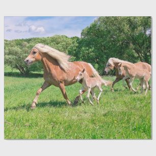 Papel De Regalo Los caballos de Haflinger con los potros lindos