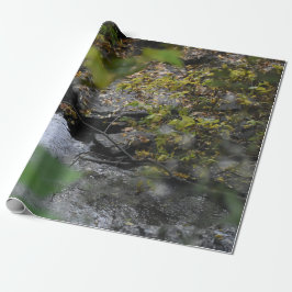 Papel De Regalo Los encantos de la Tierra