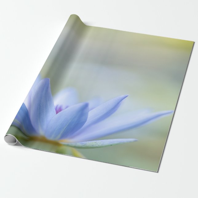 Papel De Regalo Loto azul elegante (Desenrollado)
