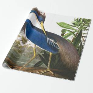 Papel De Regalo Louisiana Heron por John James Audubon