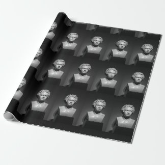 Papel De Regalo Ludwig Van Beethoven