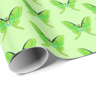 Papel De Regalo Luna polilla sobre un fondo verde pálido
