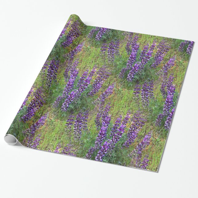 Papel De Regalo Lupines Galore. (Desenrollado)