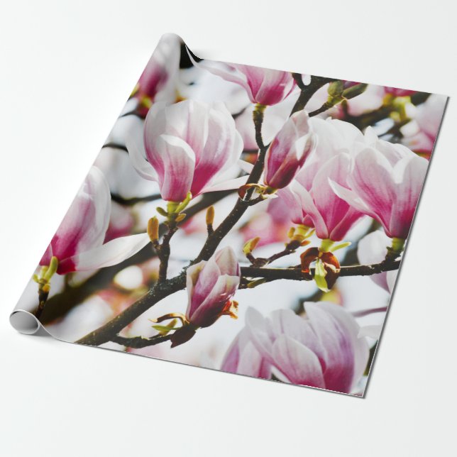 Papel De Regalo Magnolia Flores Moda Floral Blossom Botánica (Desenrollado)