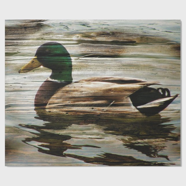 Papel De Regalo Mallard Duck (Superficie plana)