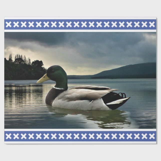 Papel De Regalo Mallard Duck (Superficie plana)