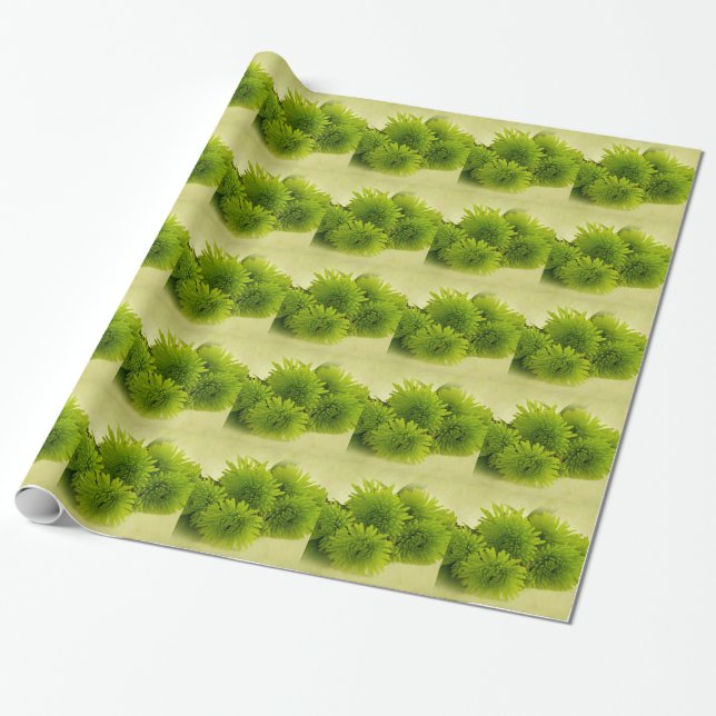 Papel De Regalo Mamáes verdes (Desenrollado)