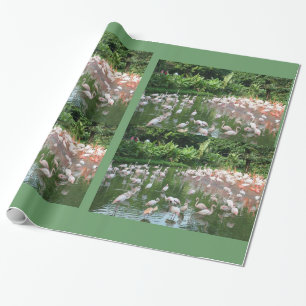 Papel De Regalo Manada de flamencos cumpleaños, regalo de Navidad