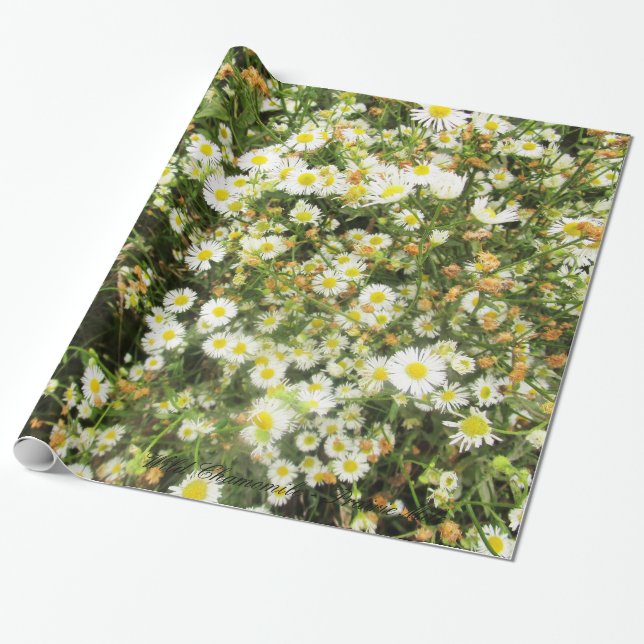Papel De Regalo Manzanilla salvaje - milla de la pradera - (Desenrollado)