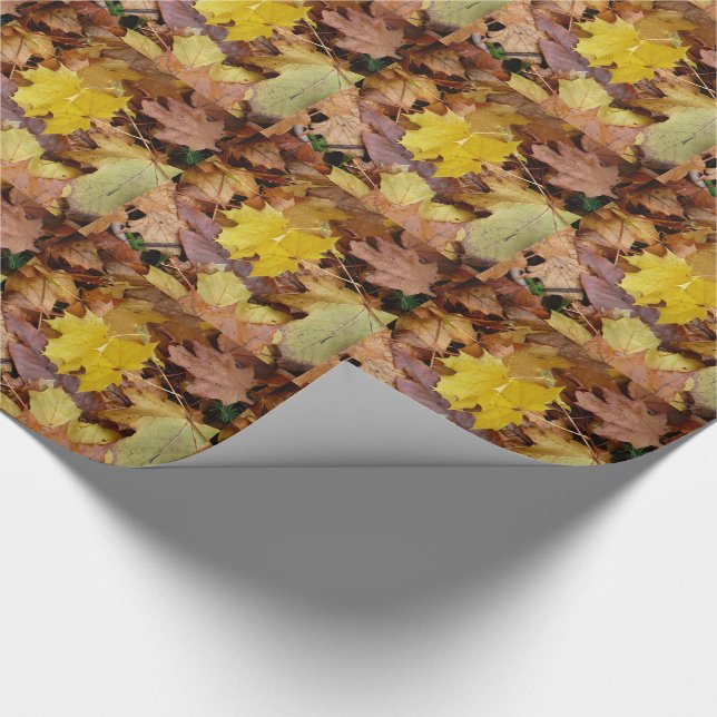 Papel De Regalo Maple caído deja naturaleza otoño amarilla (Esquina)