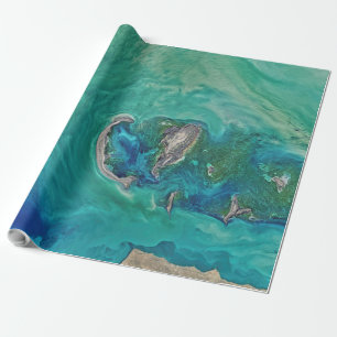 Papel De Regalo mar de cáscara