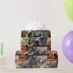 Papel De Regalo Maravillas salvajes: cautivando el Collage de foto