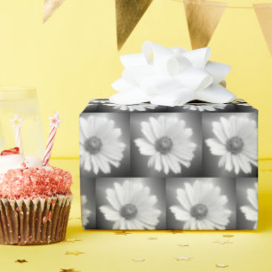 Papel De Regalo margarita blanca resplandeciente sobre negro
