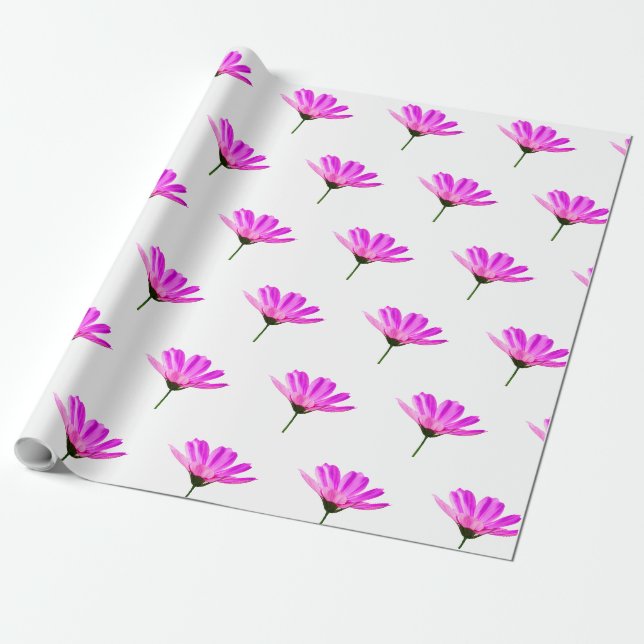 Papel De Regalo Margarita Rosa  (Desenrollado)