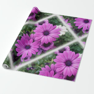Papel De Regalo Margaritas moradas